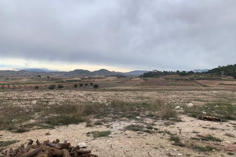 Terra a Pinoso, Alicante, Pinoso - € 125.000 | Ref: V0046-22 - foto 5